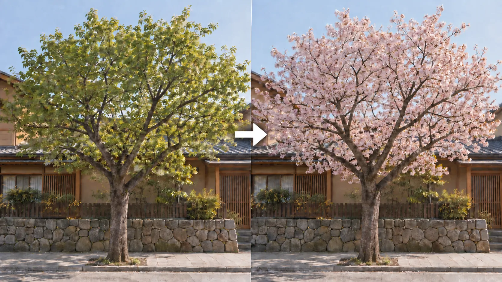 写真の木々を桜・紅葉の景色にする / 生成サンプル